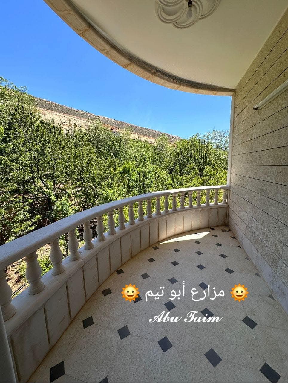 الصورة