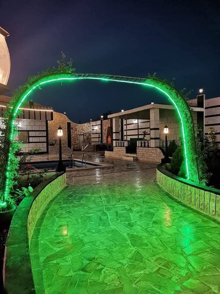 الصورة