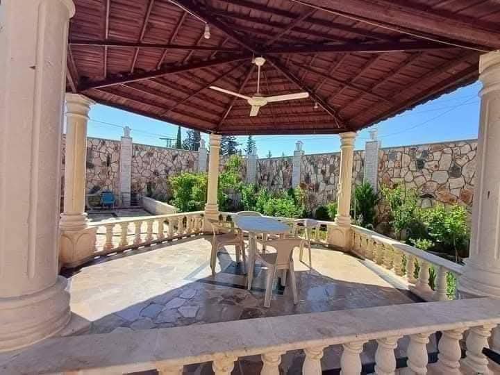 الصورة