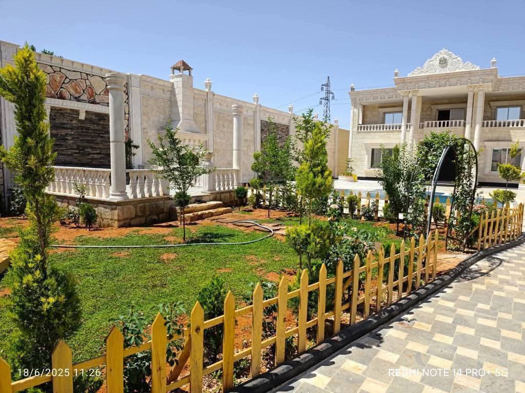 الصورة