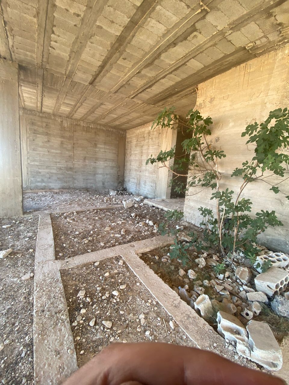 الصورة