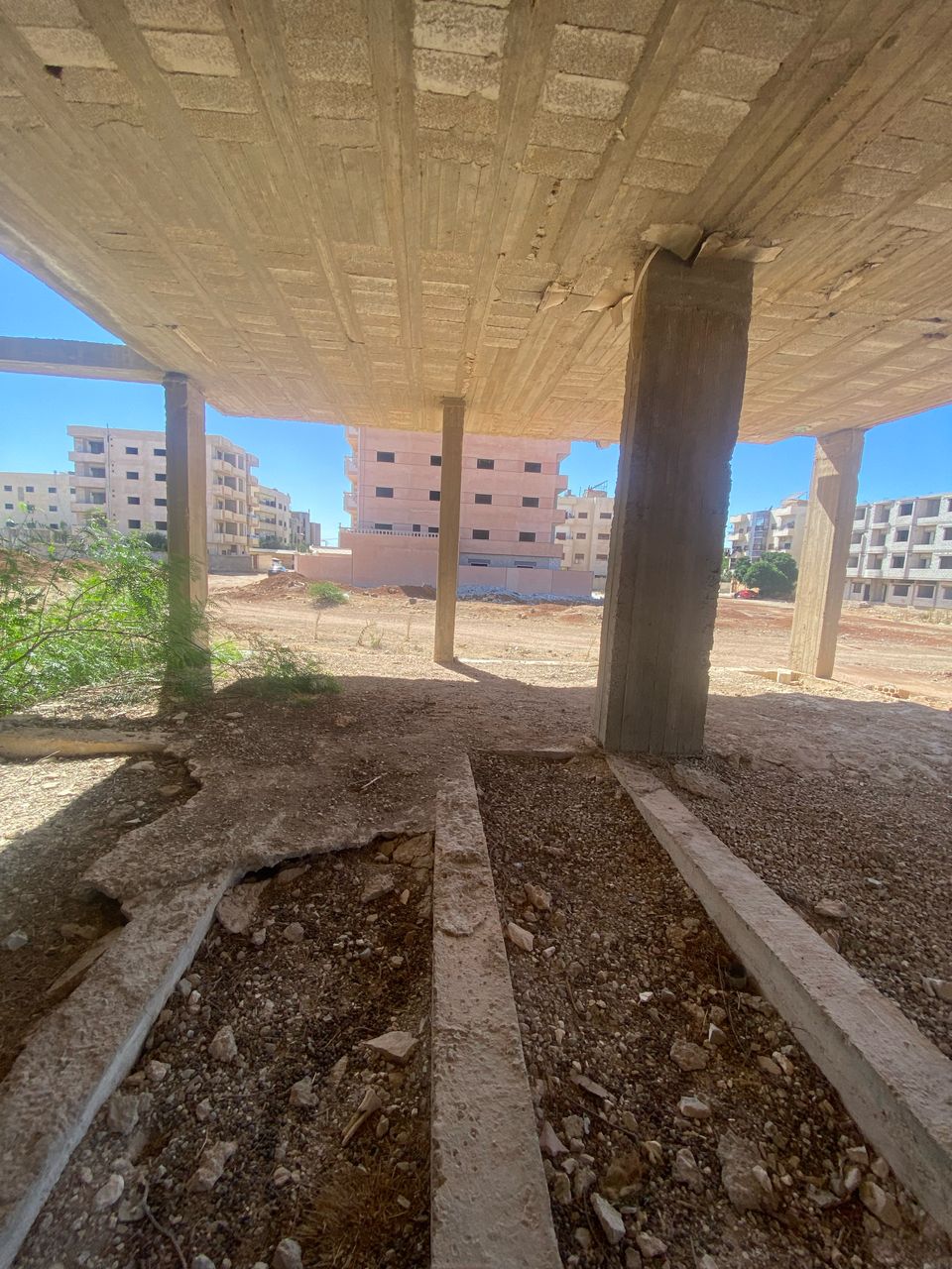 الصورة
