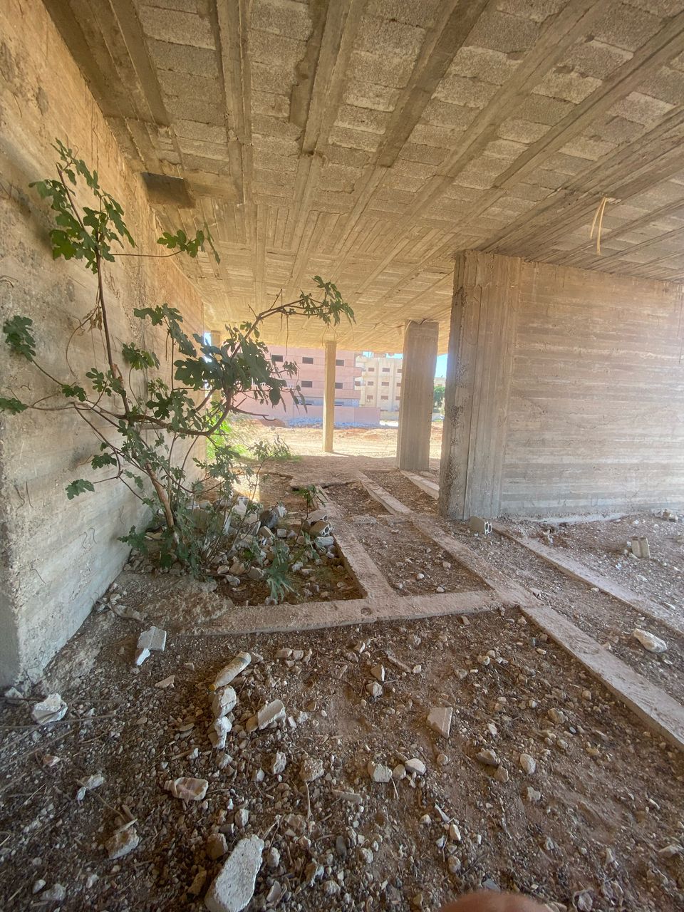 الصورة