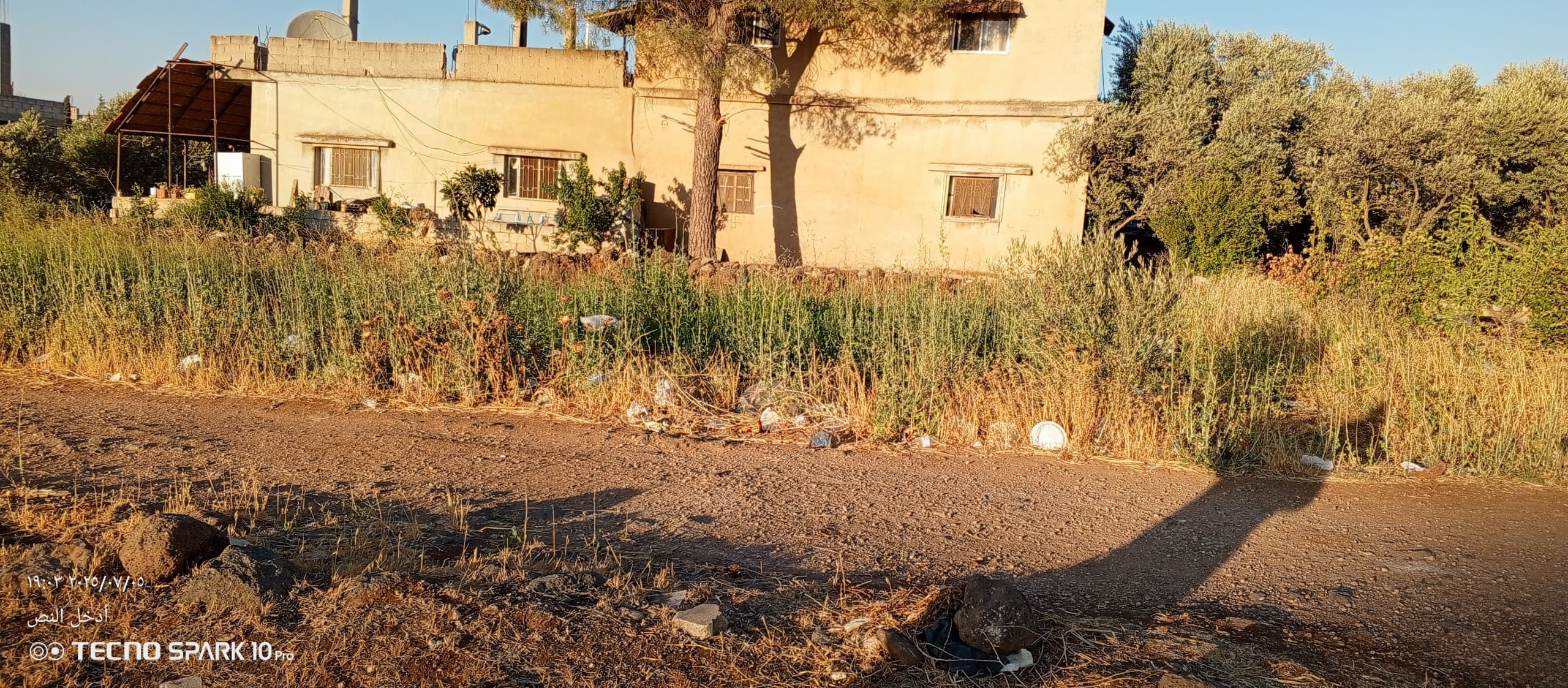 الصورة