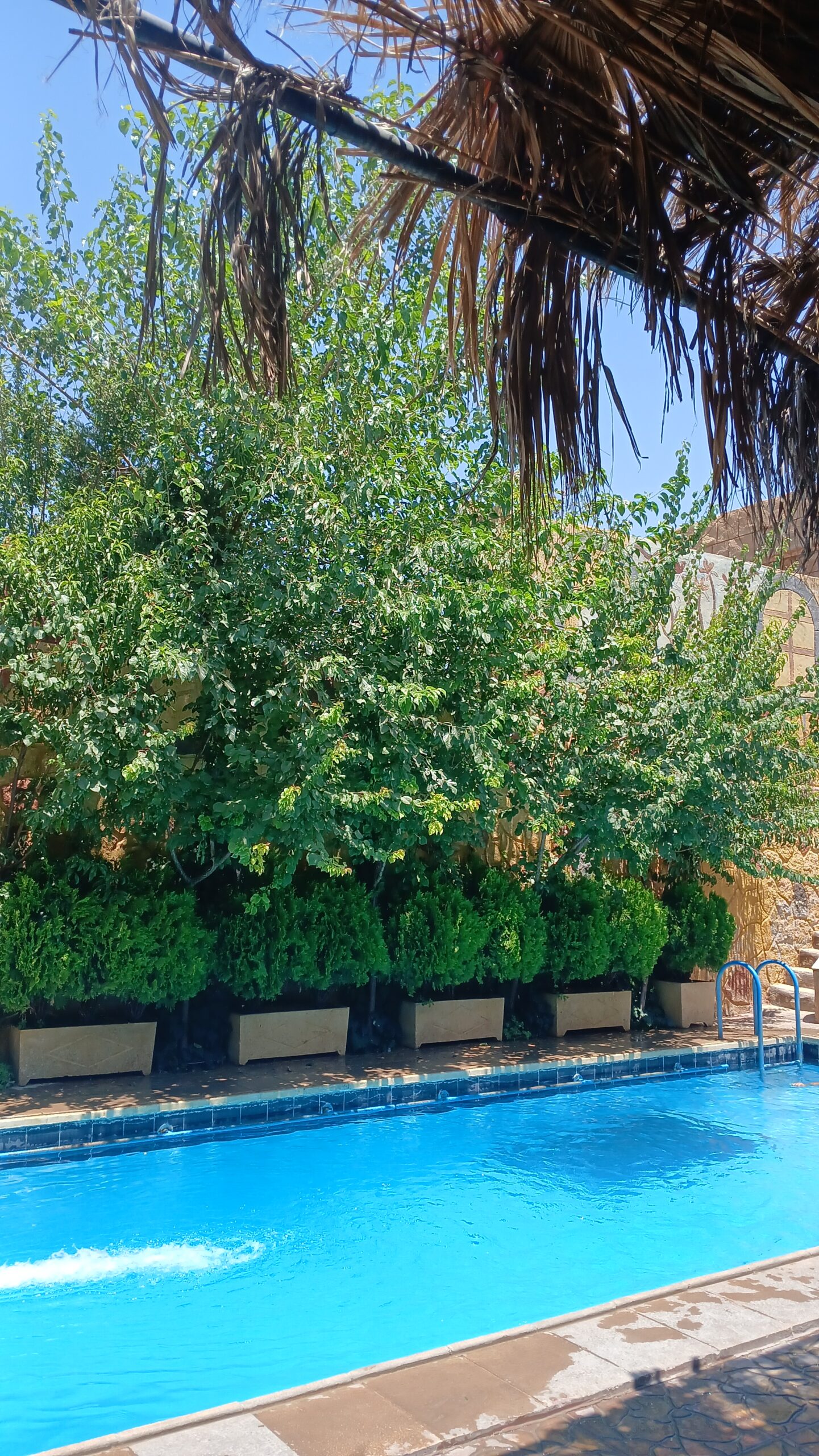 الصورة