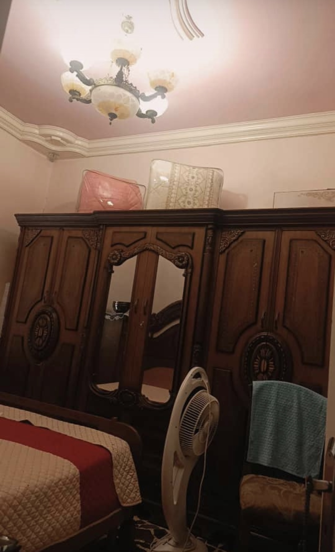 الصورة