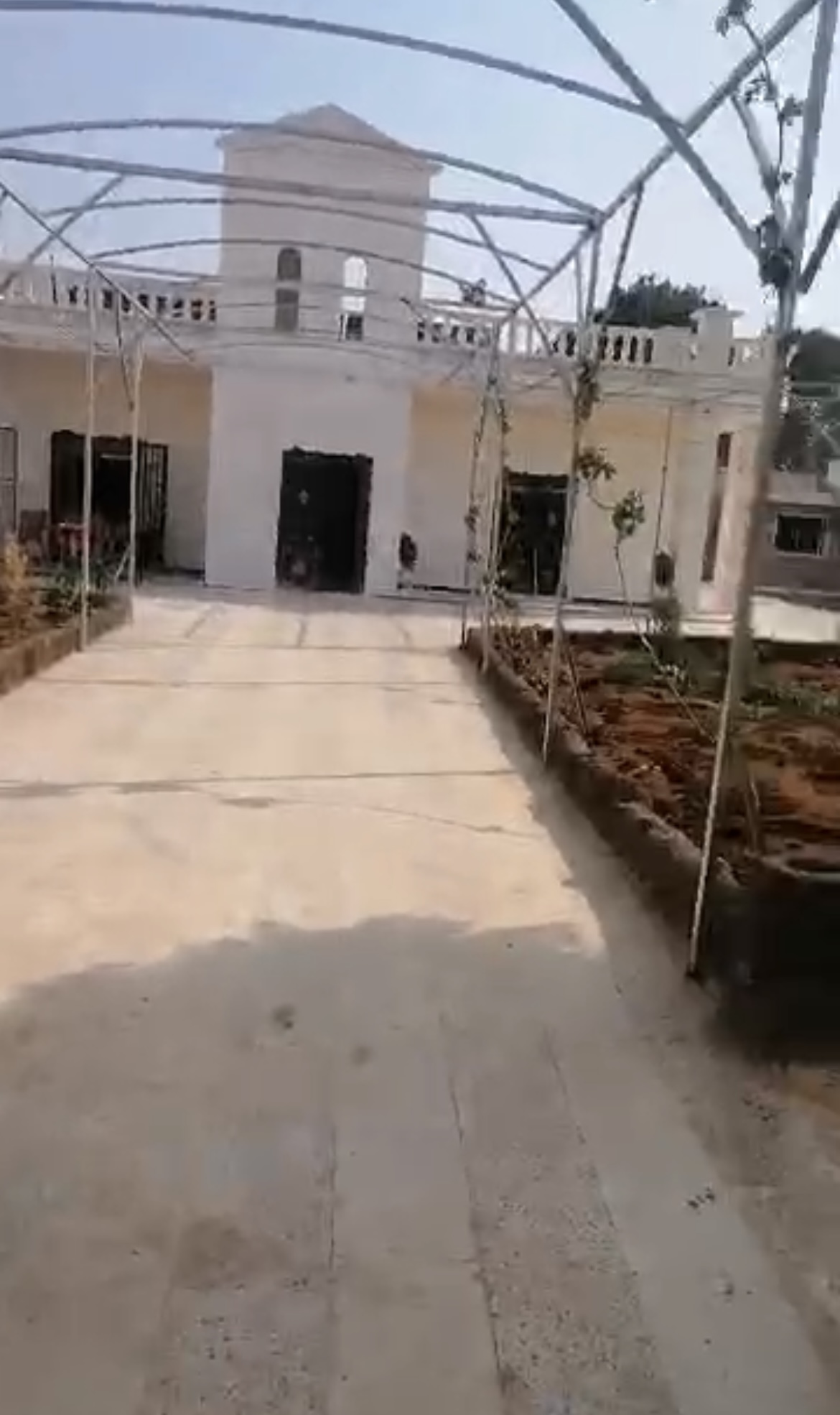 الصورة