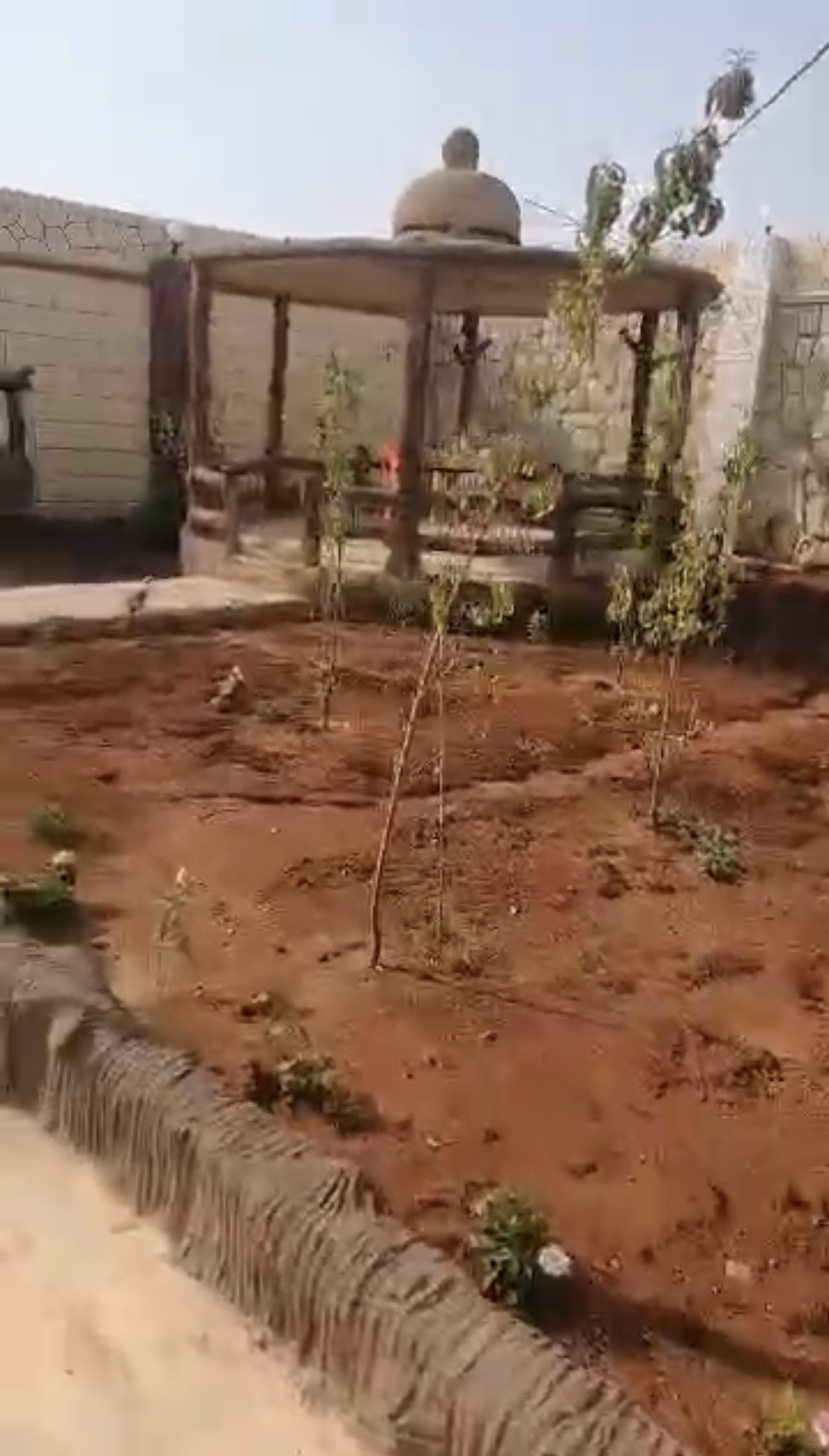 الصورة
