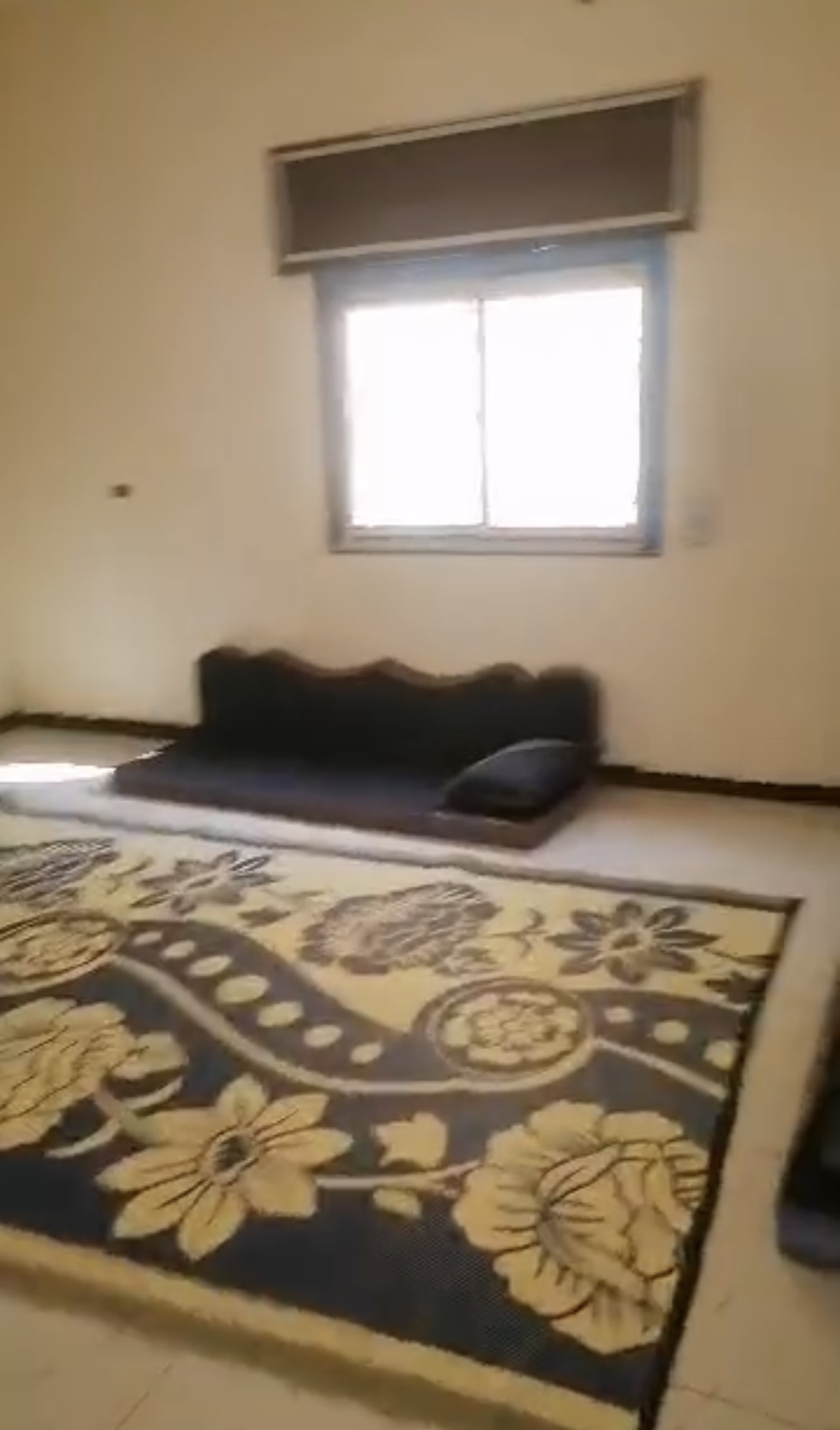 الصورة