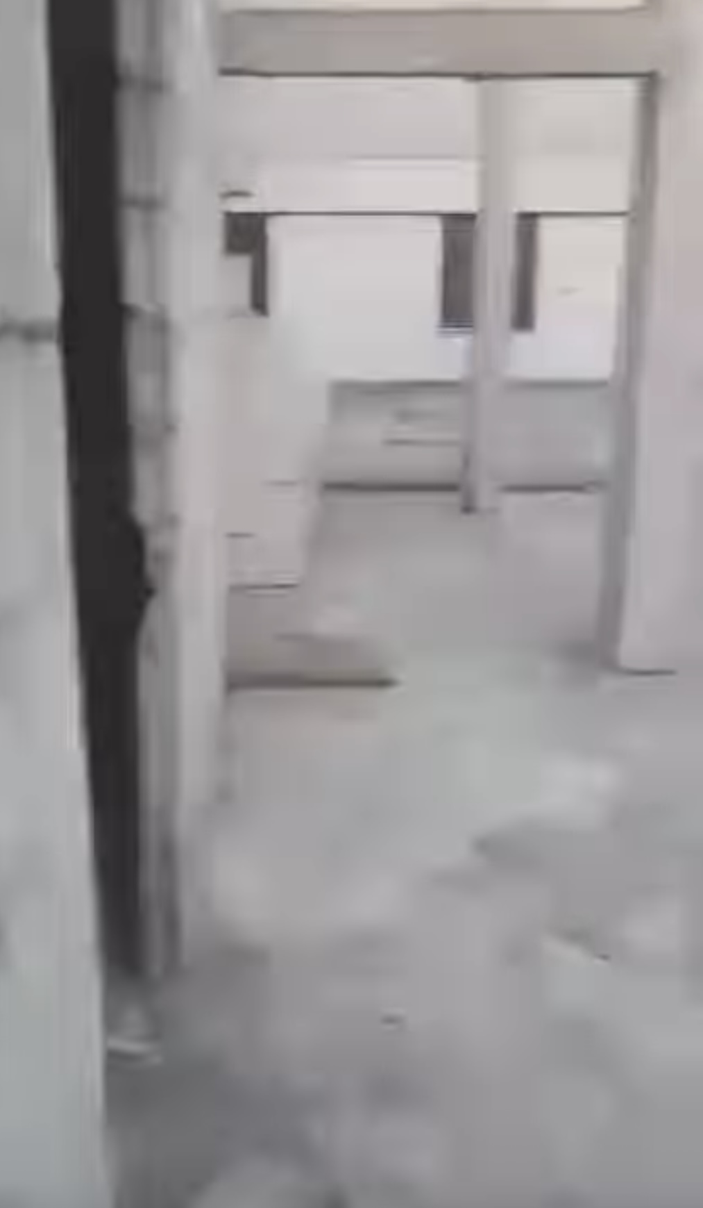 الصورة