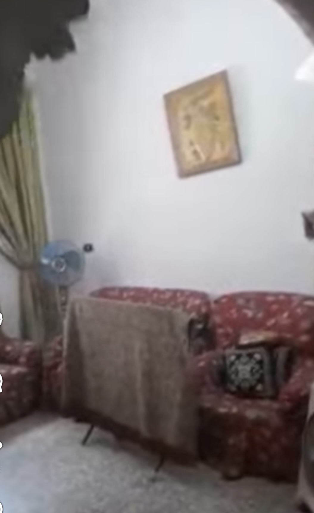 الصورة