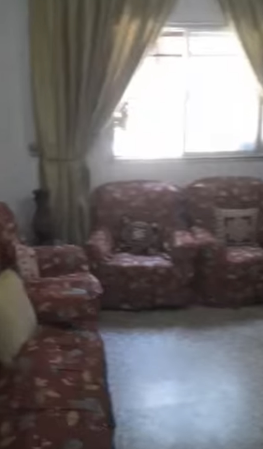 الصورة