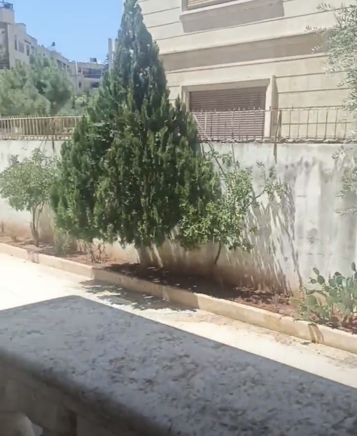 الصورة