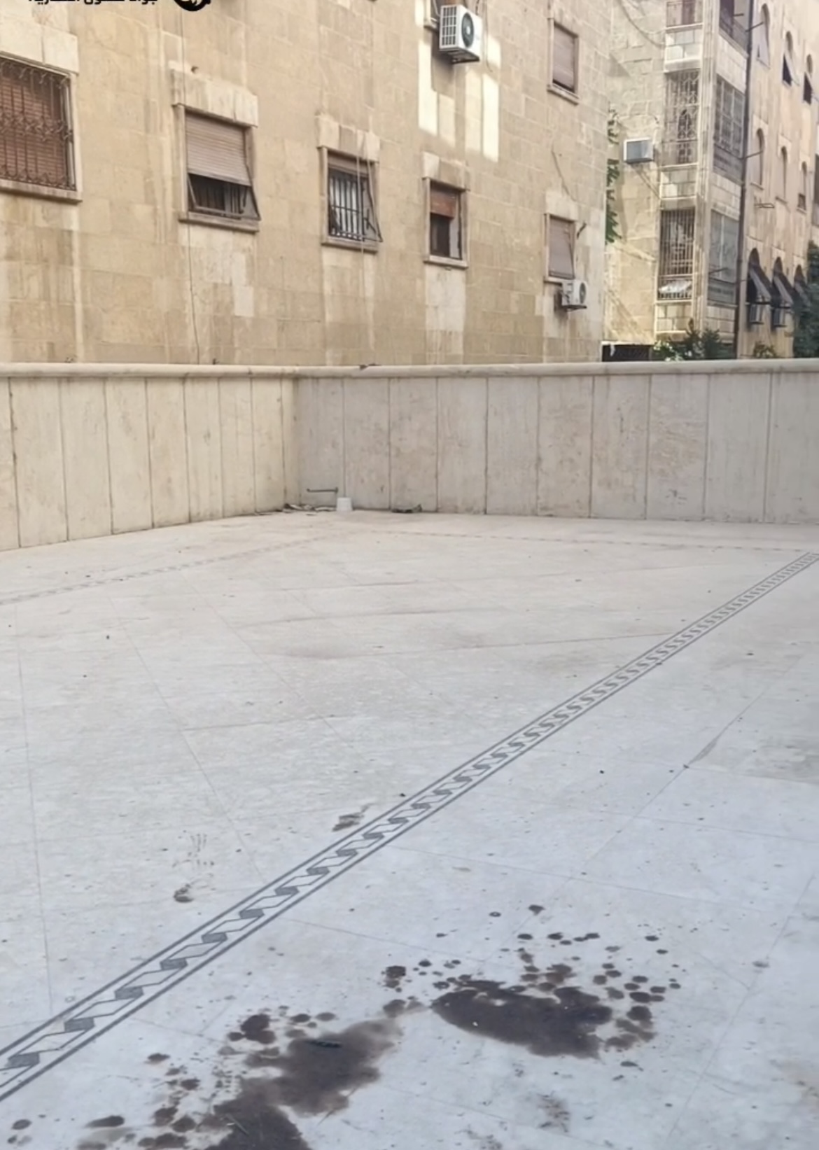 الصورة
