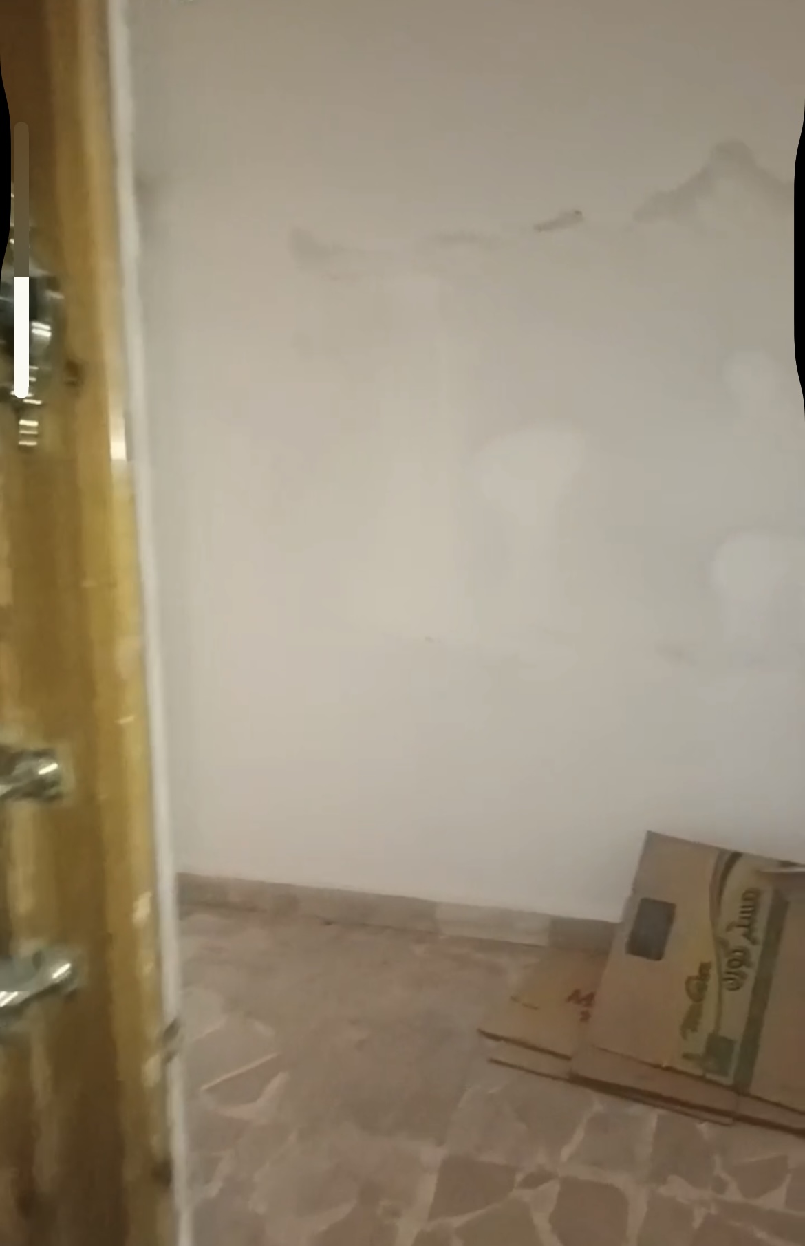 الصورة