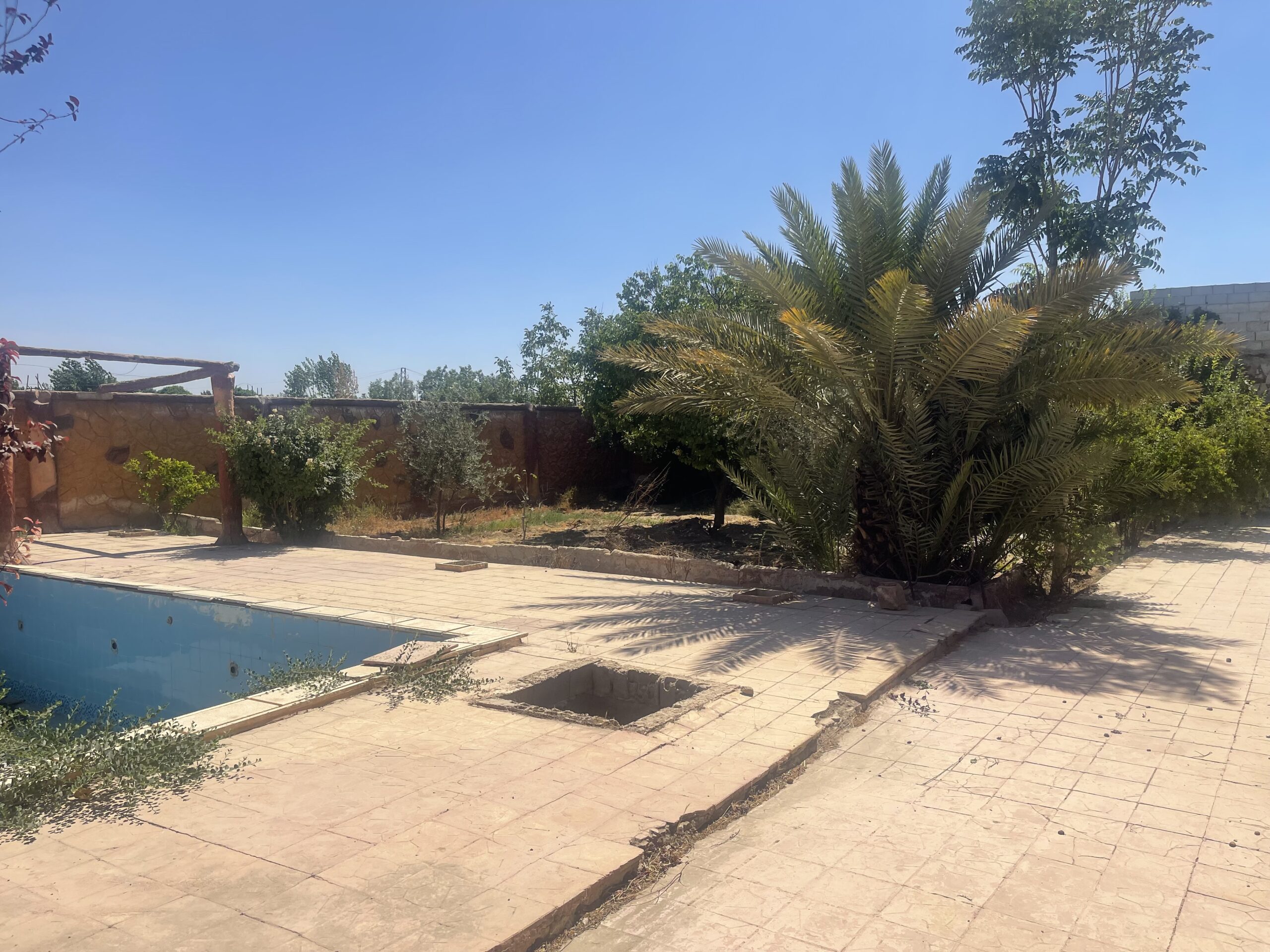 الصورة