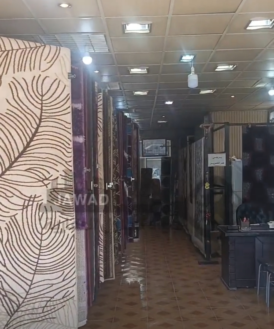 الصورة
