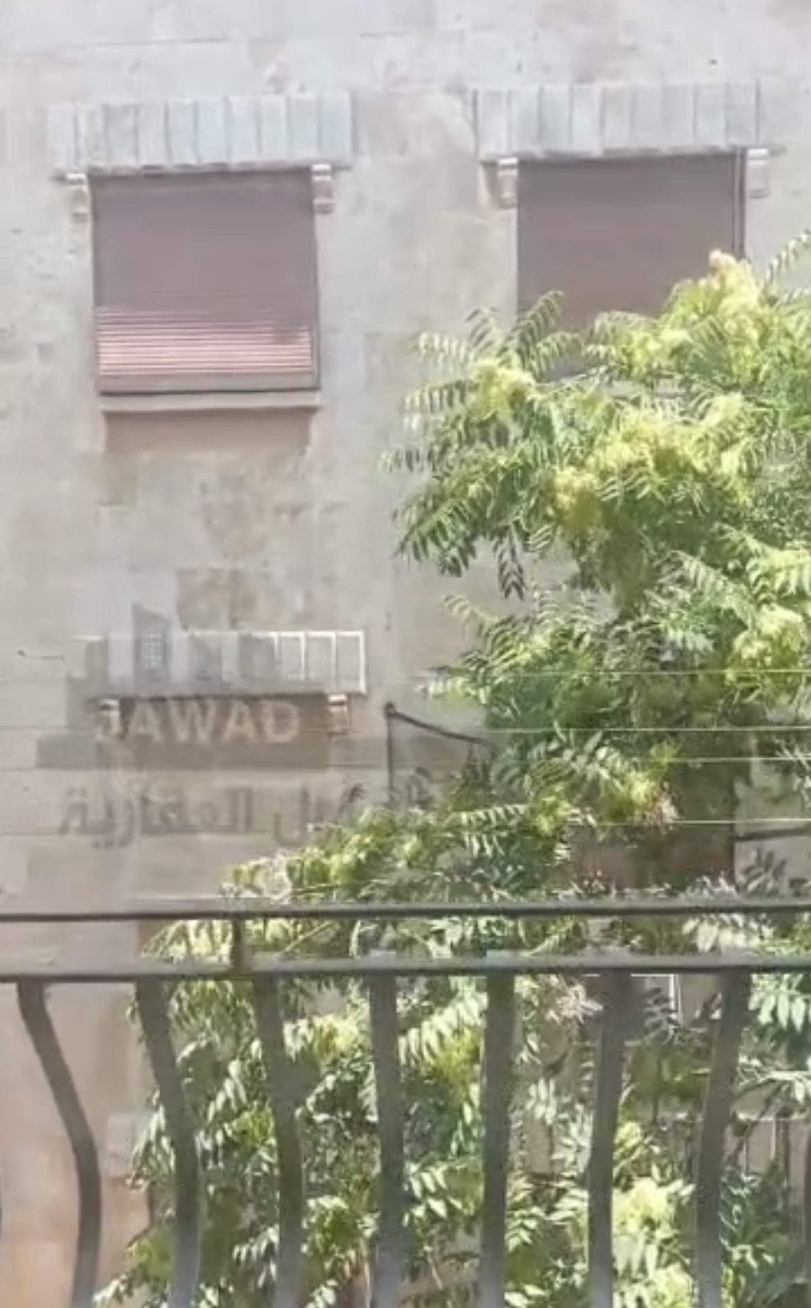 الصورة