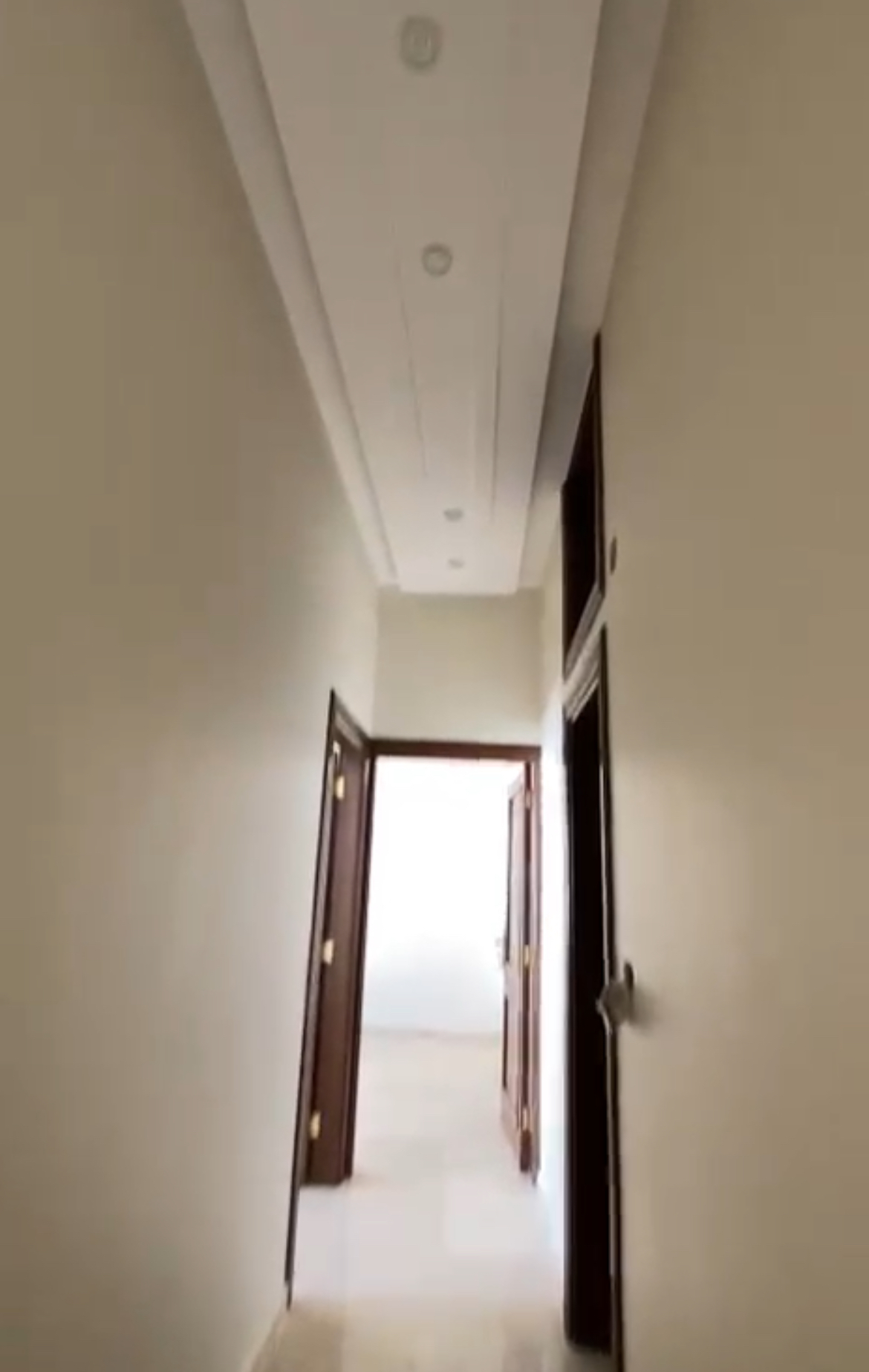 الصورة