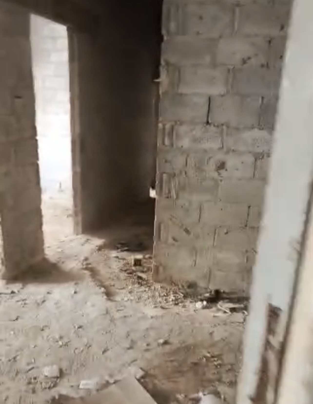 الصورة
