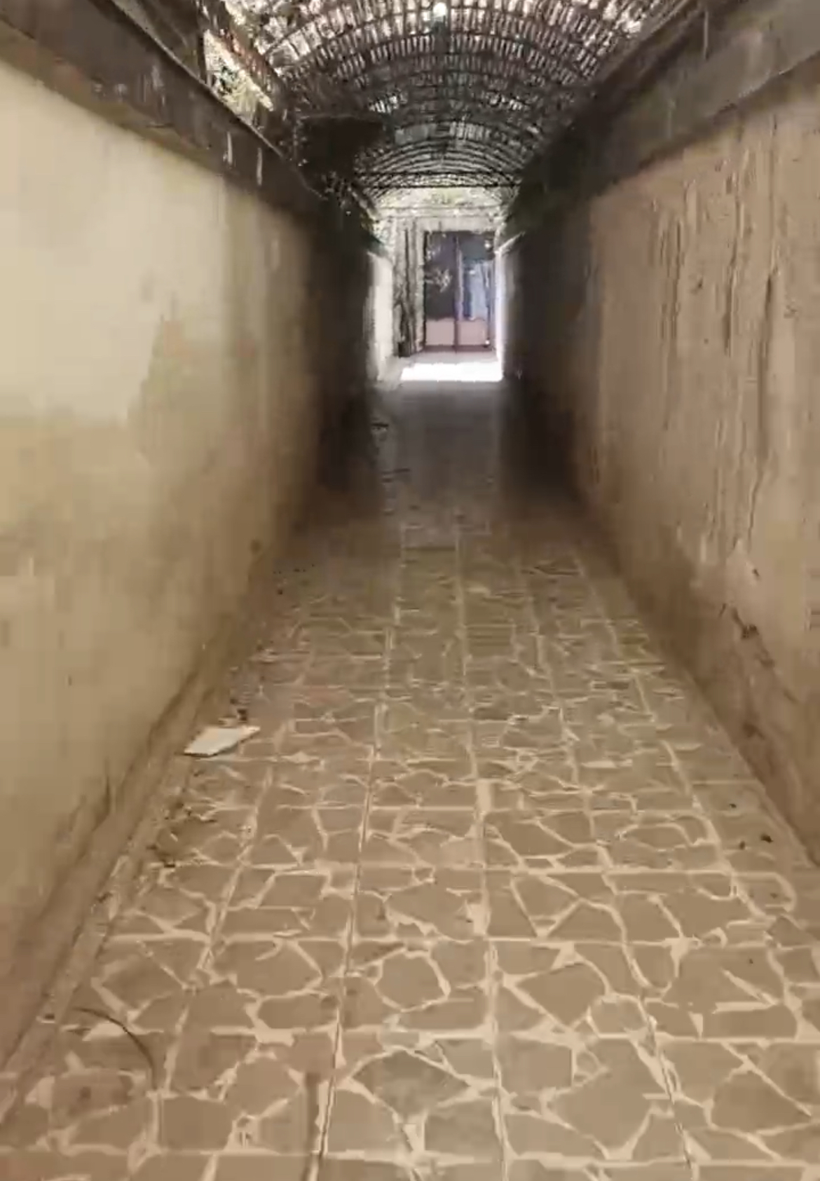 الصورة