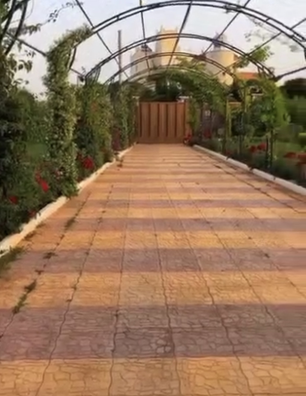الصورة