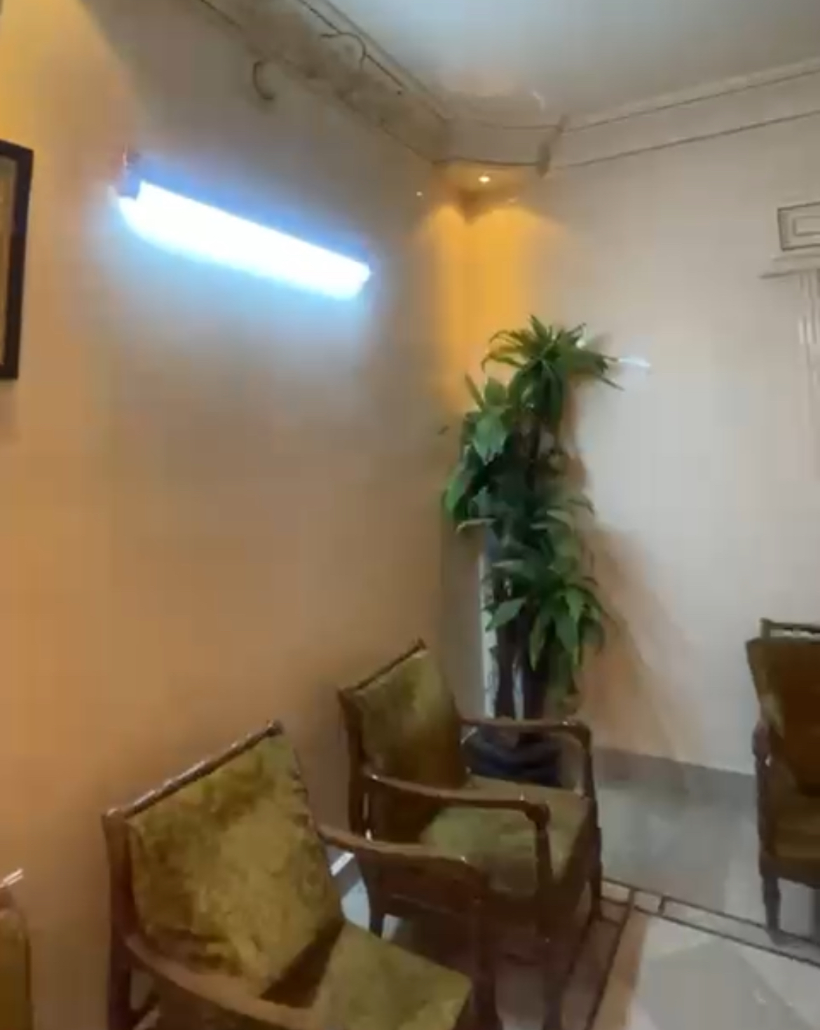 الصورة