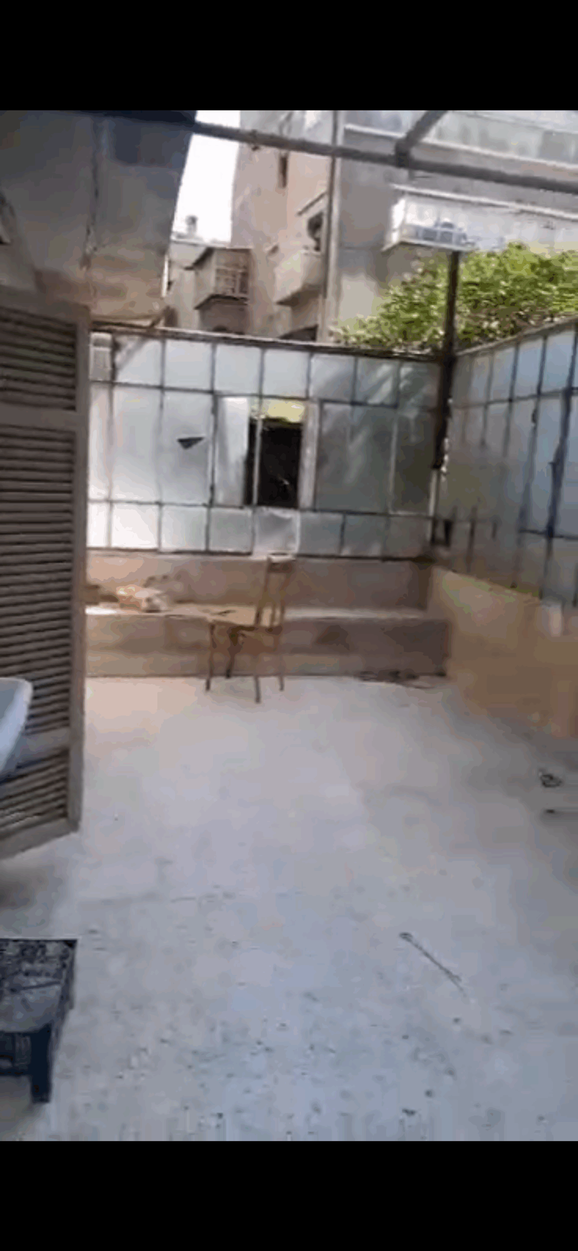 الصورة