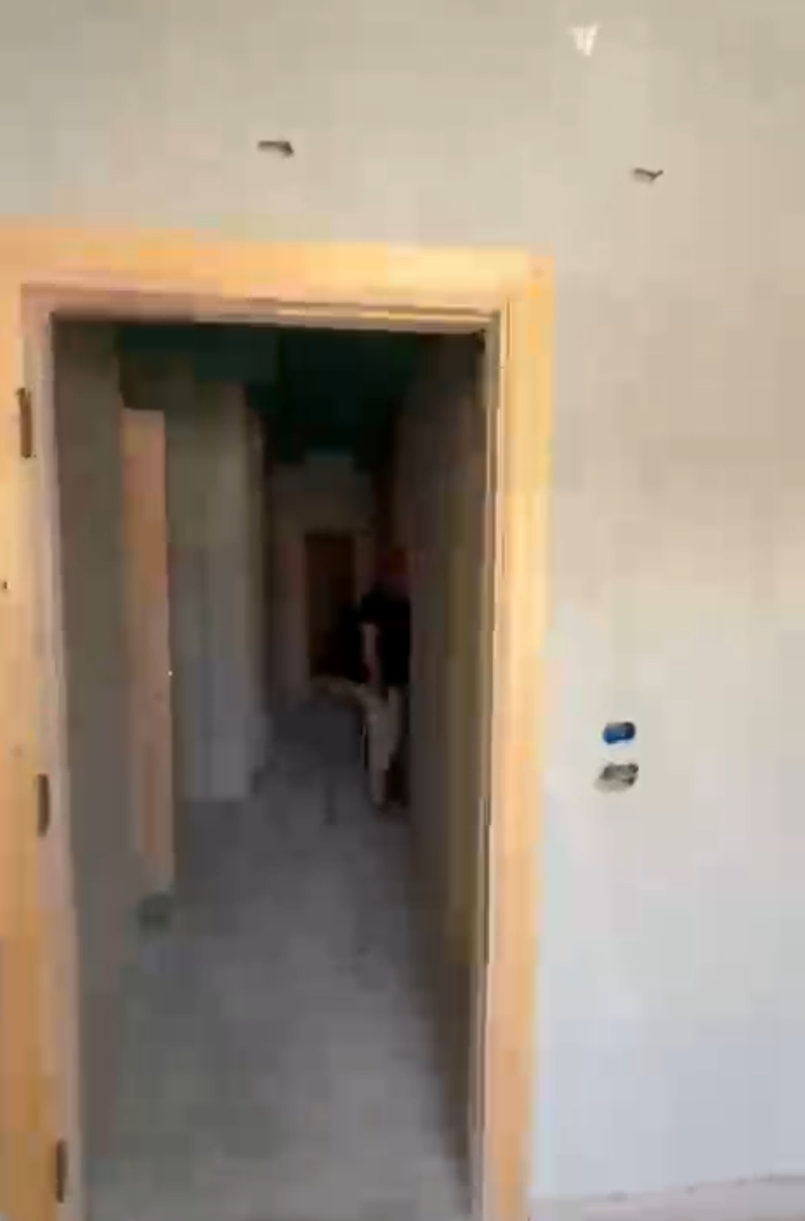 الصورة