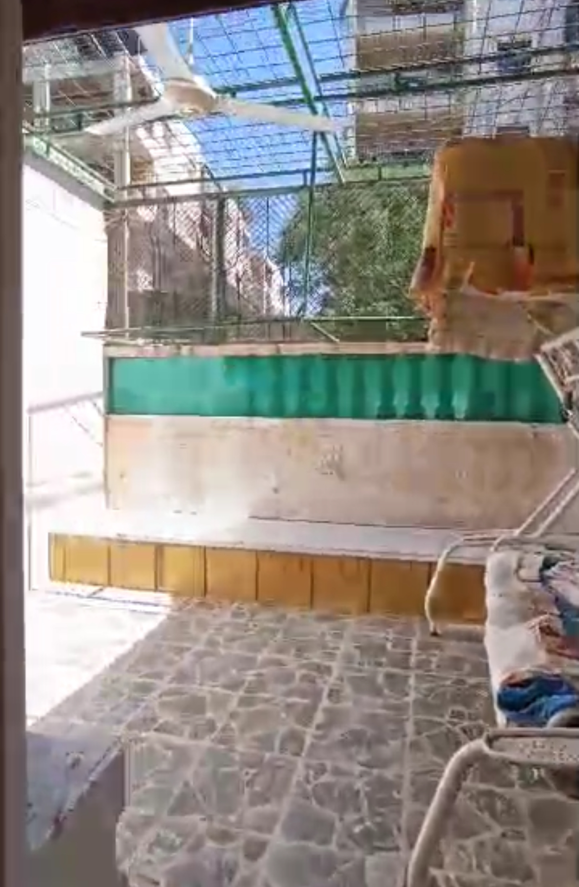 الصورة
