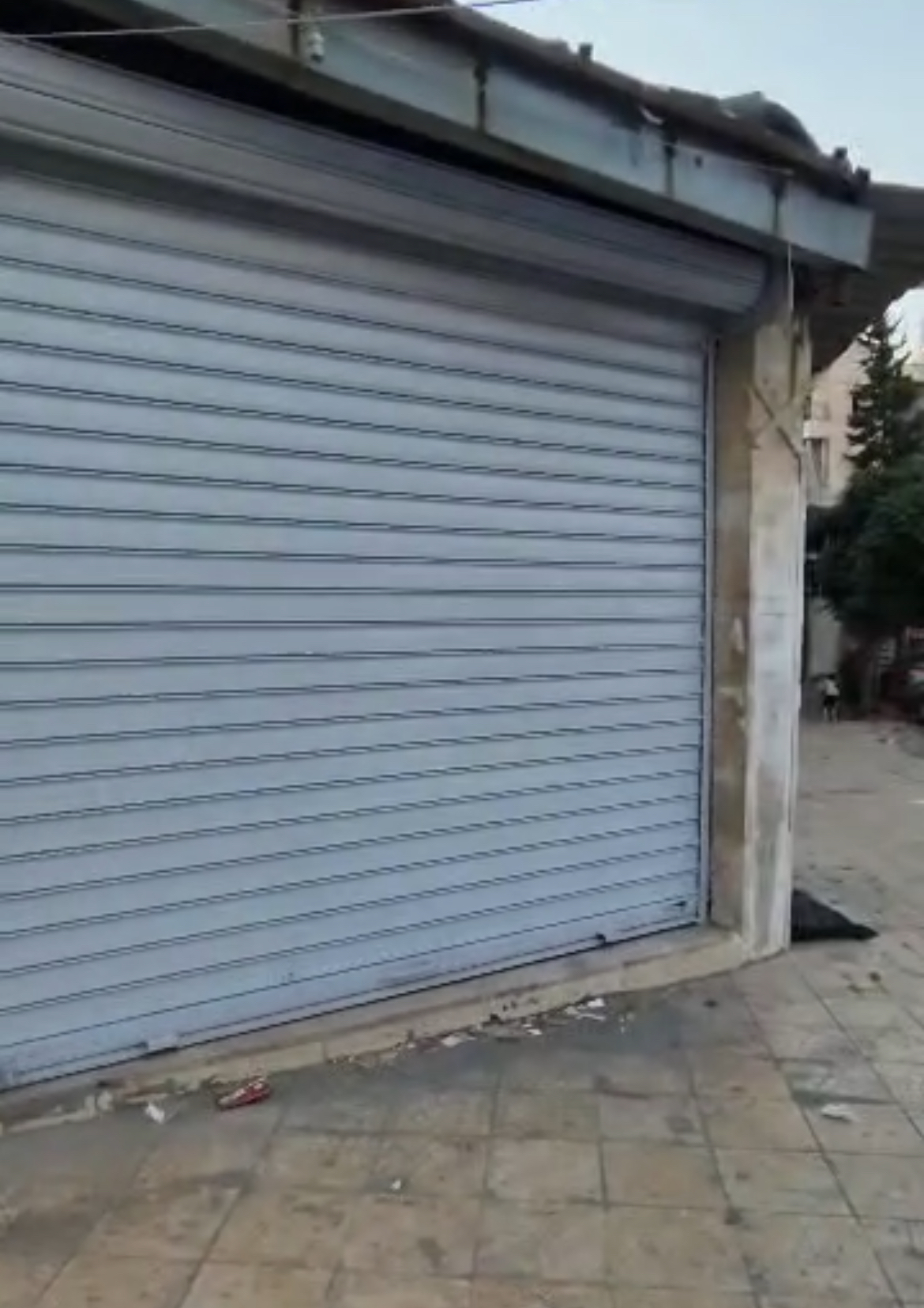 الصورة