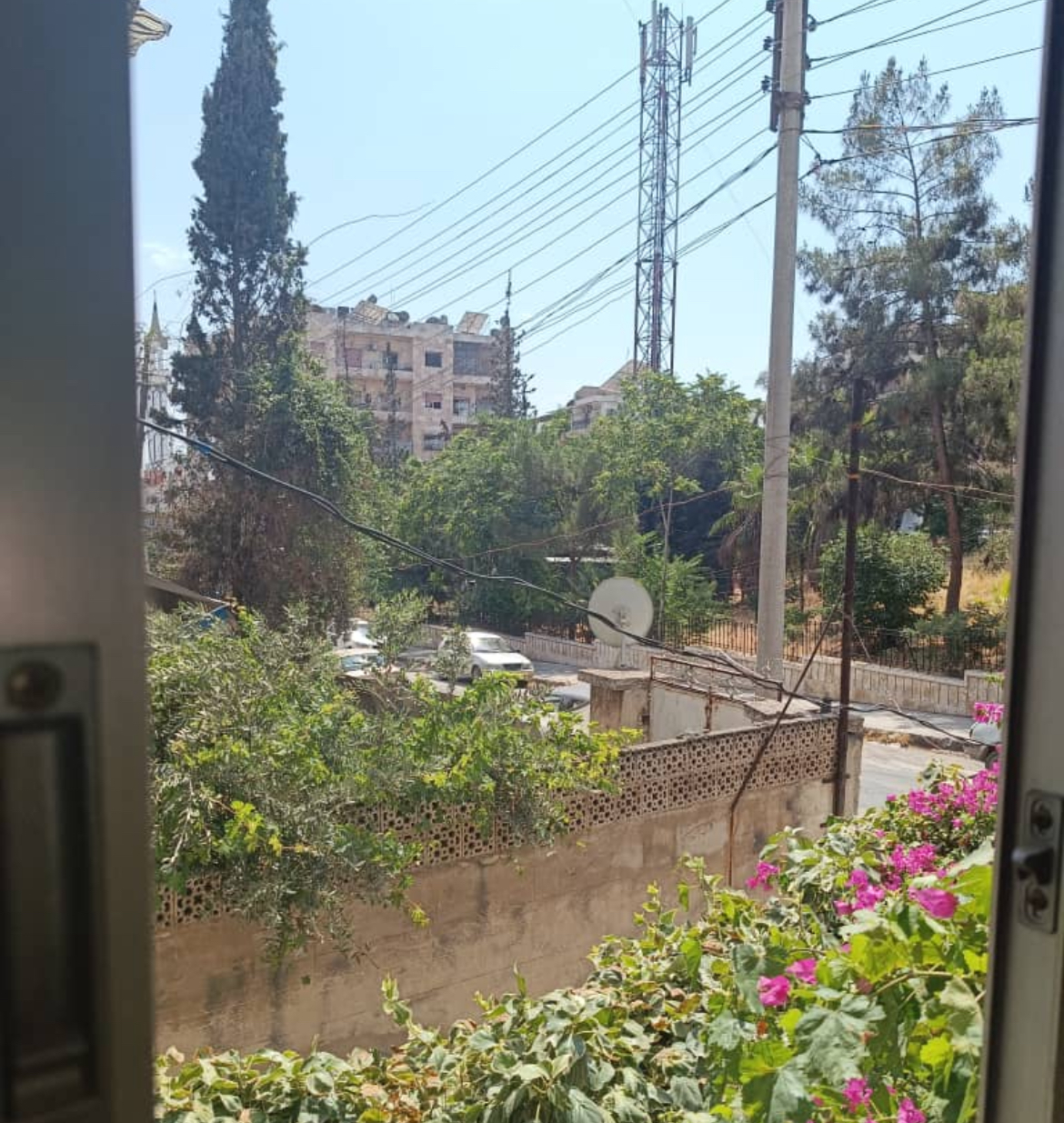 الصورة