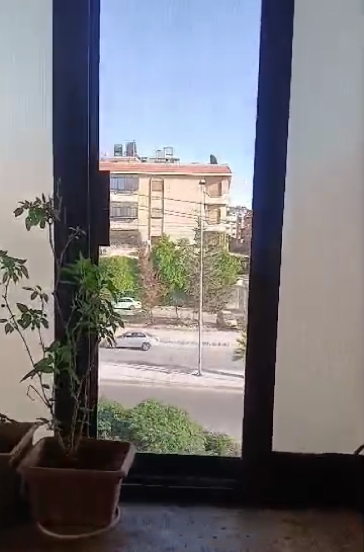 الصورة