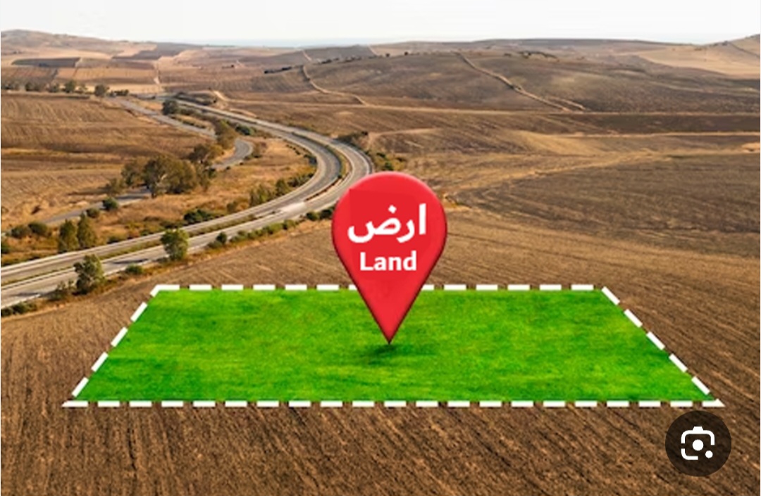 الصورة