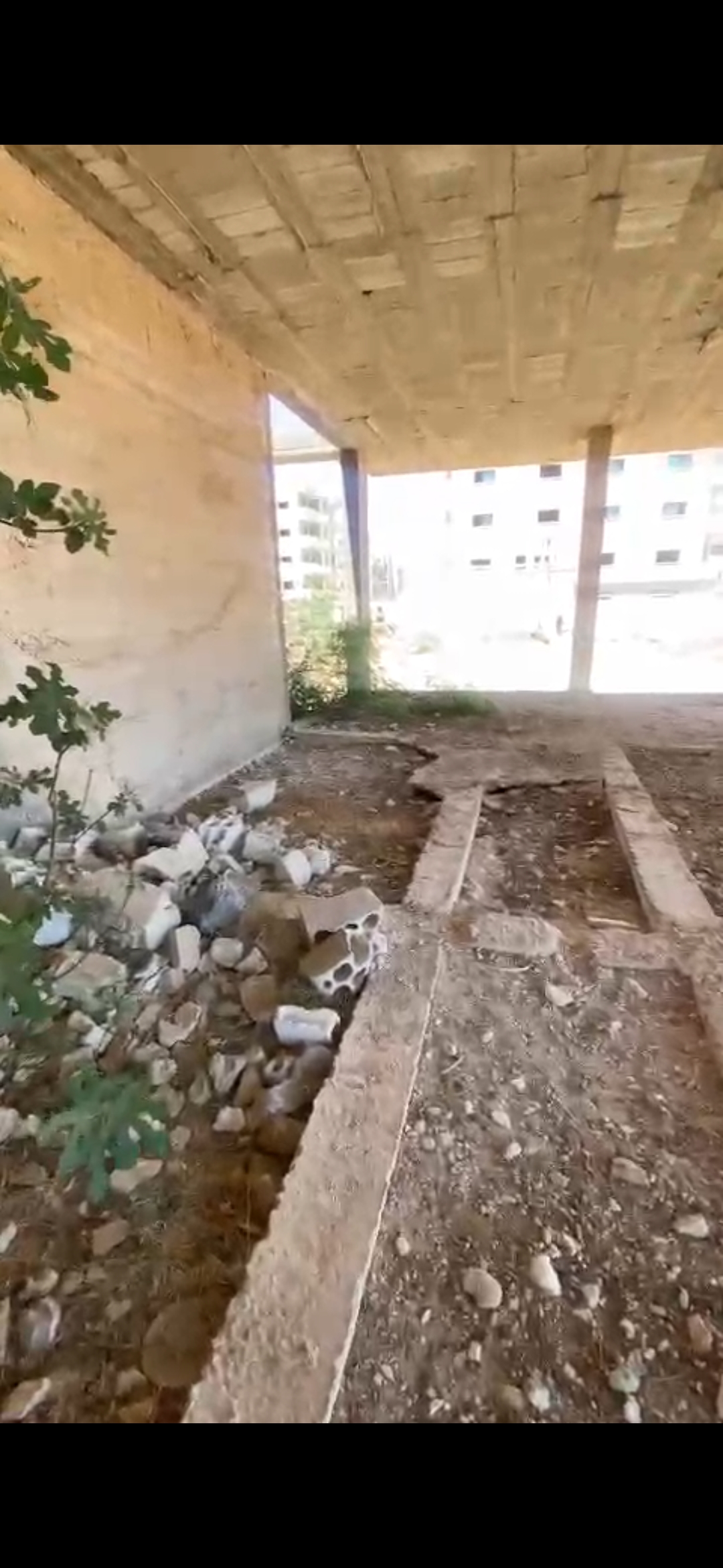 الصورة