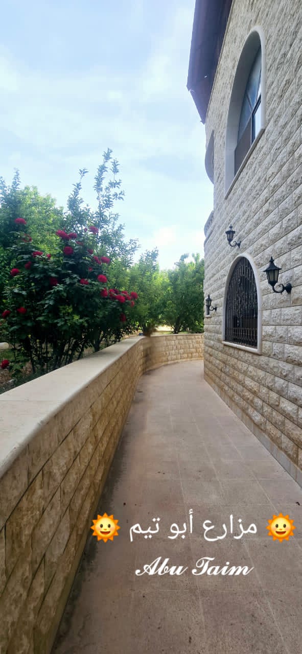 الصورة