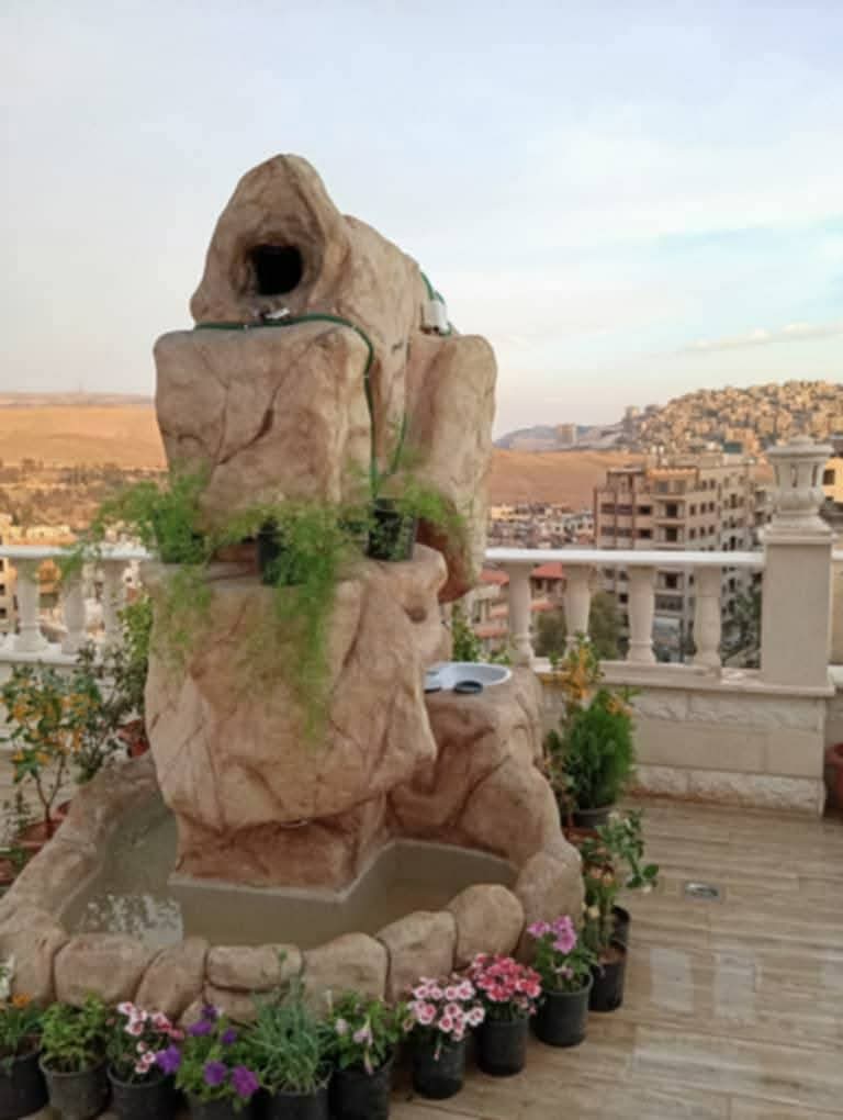الصورة