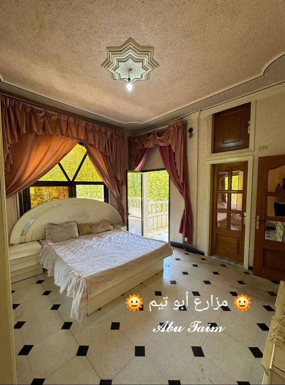 الصورة