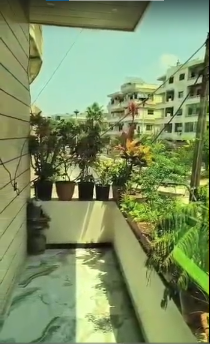الصورة