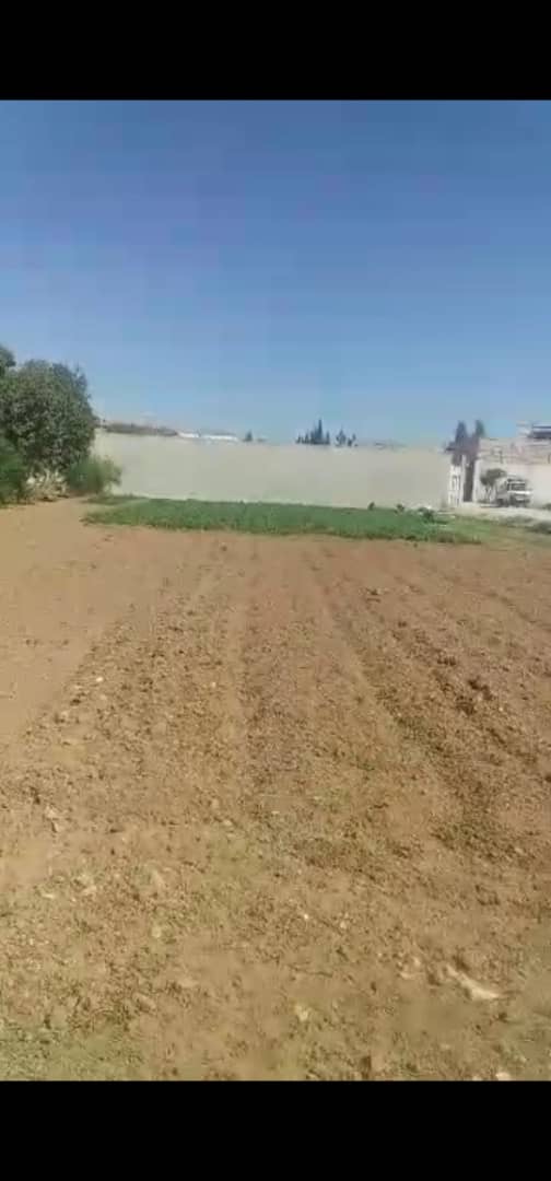 الصورة