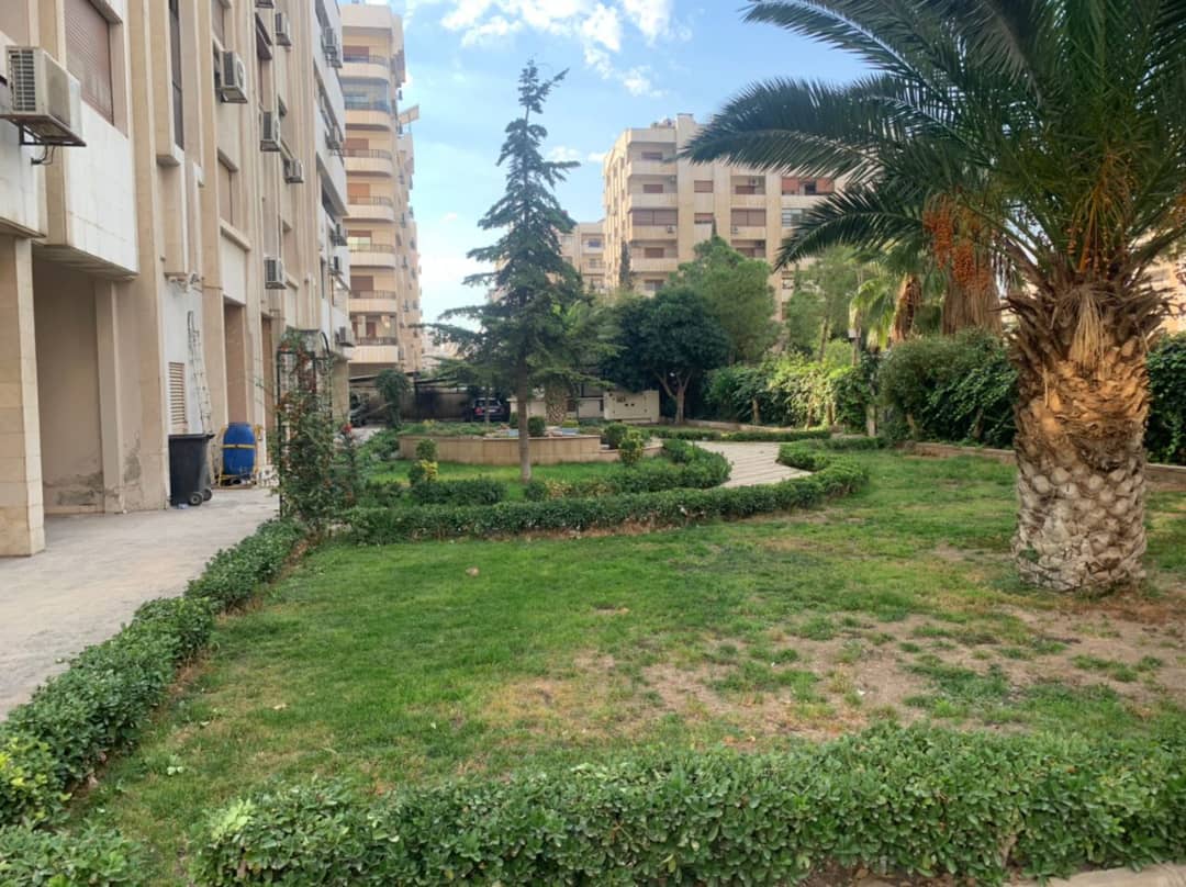 الصورة