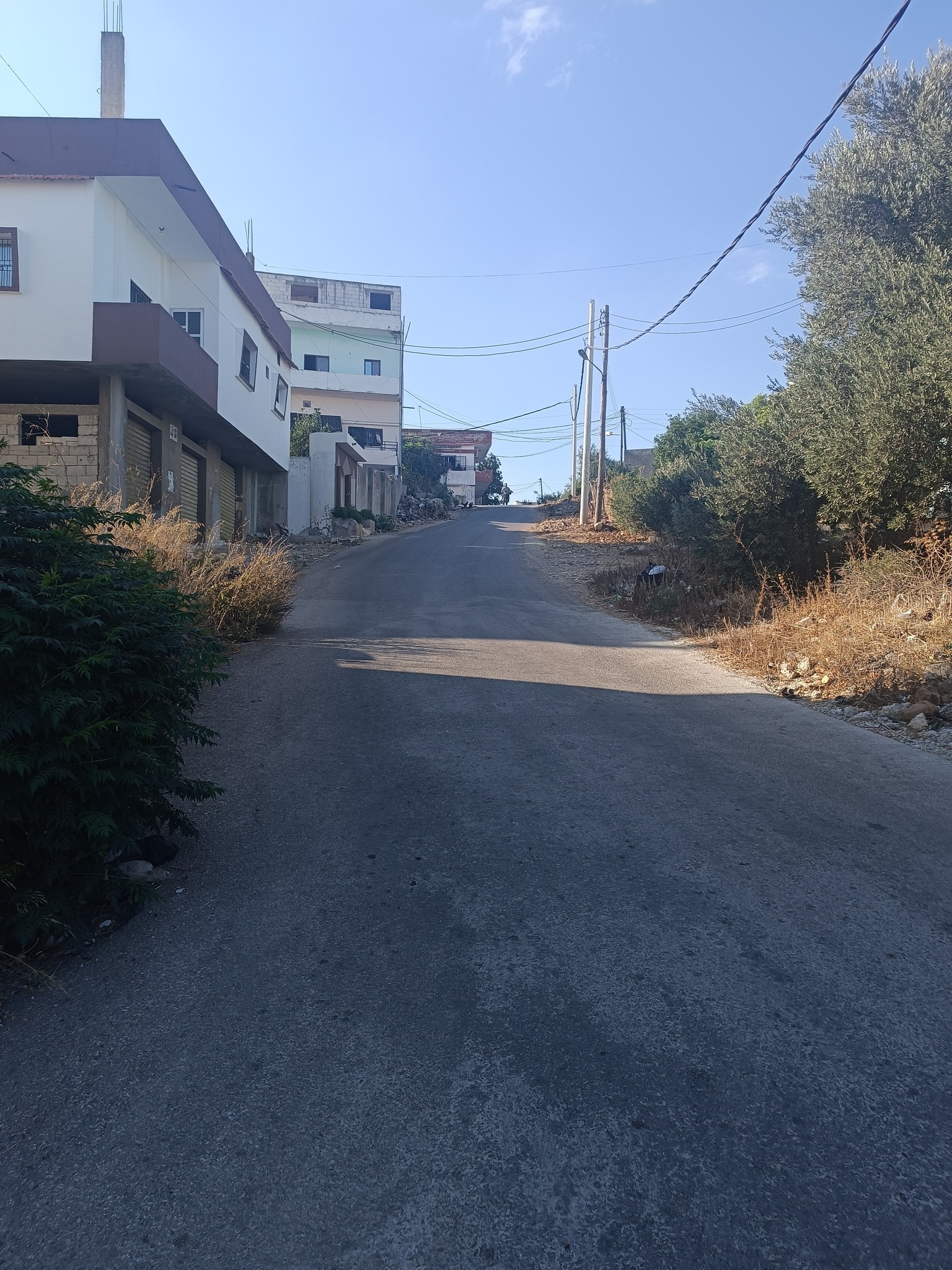 الصورة