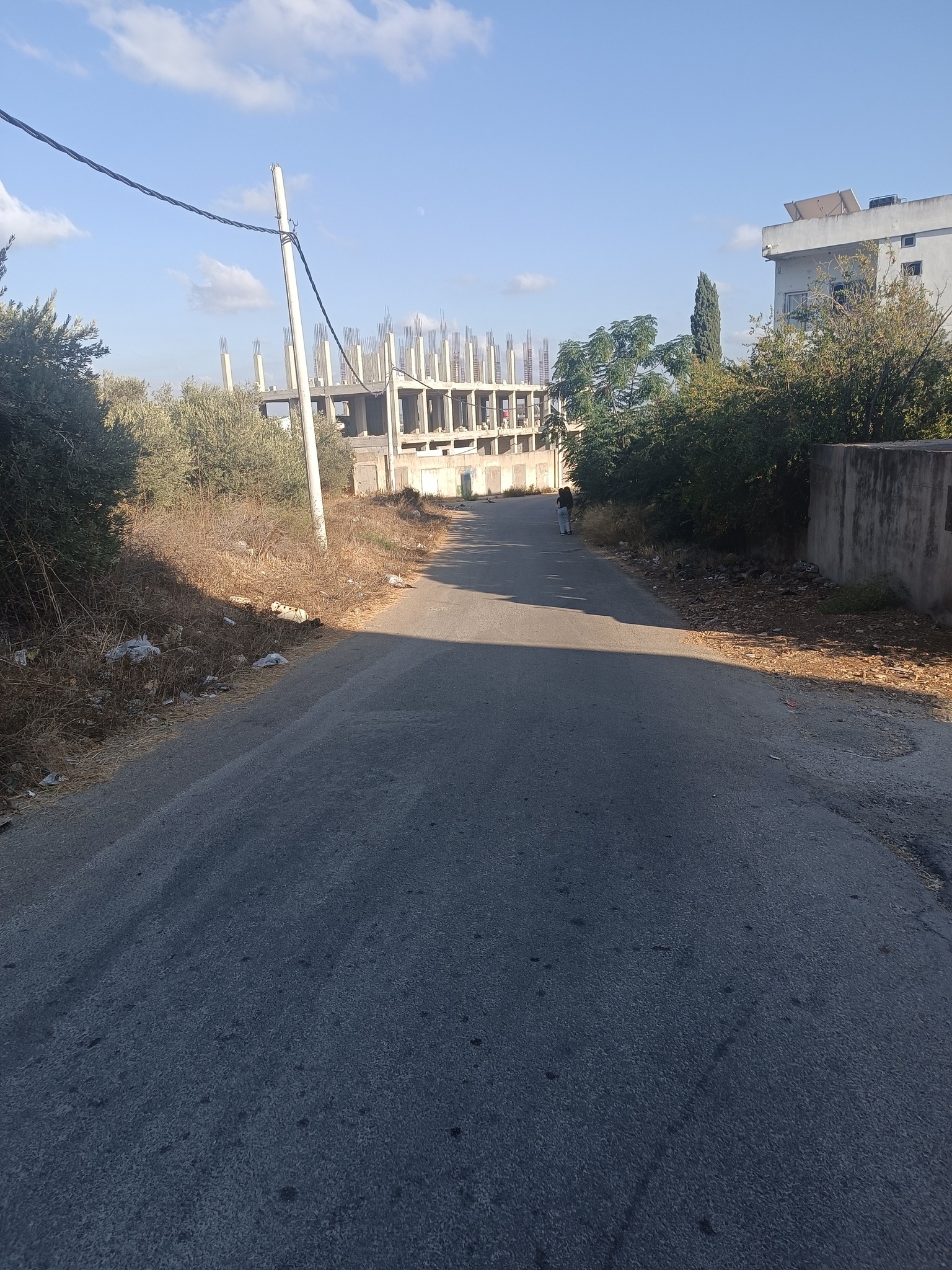 الصورة