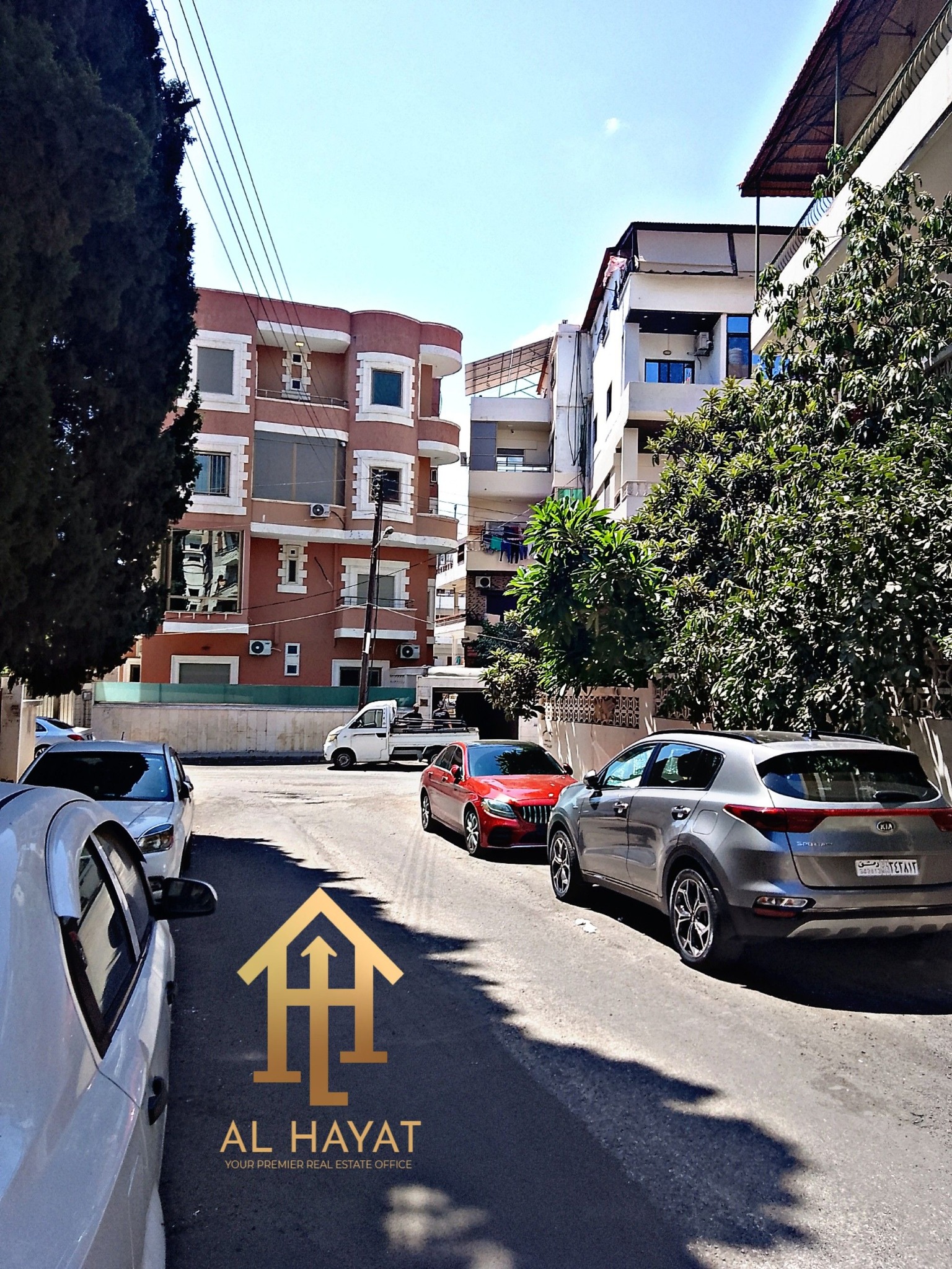 الصورة