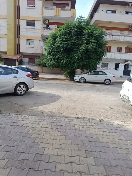الصورة