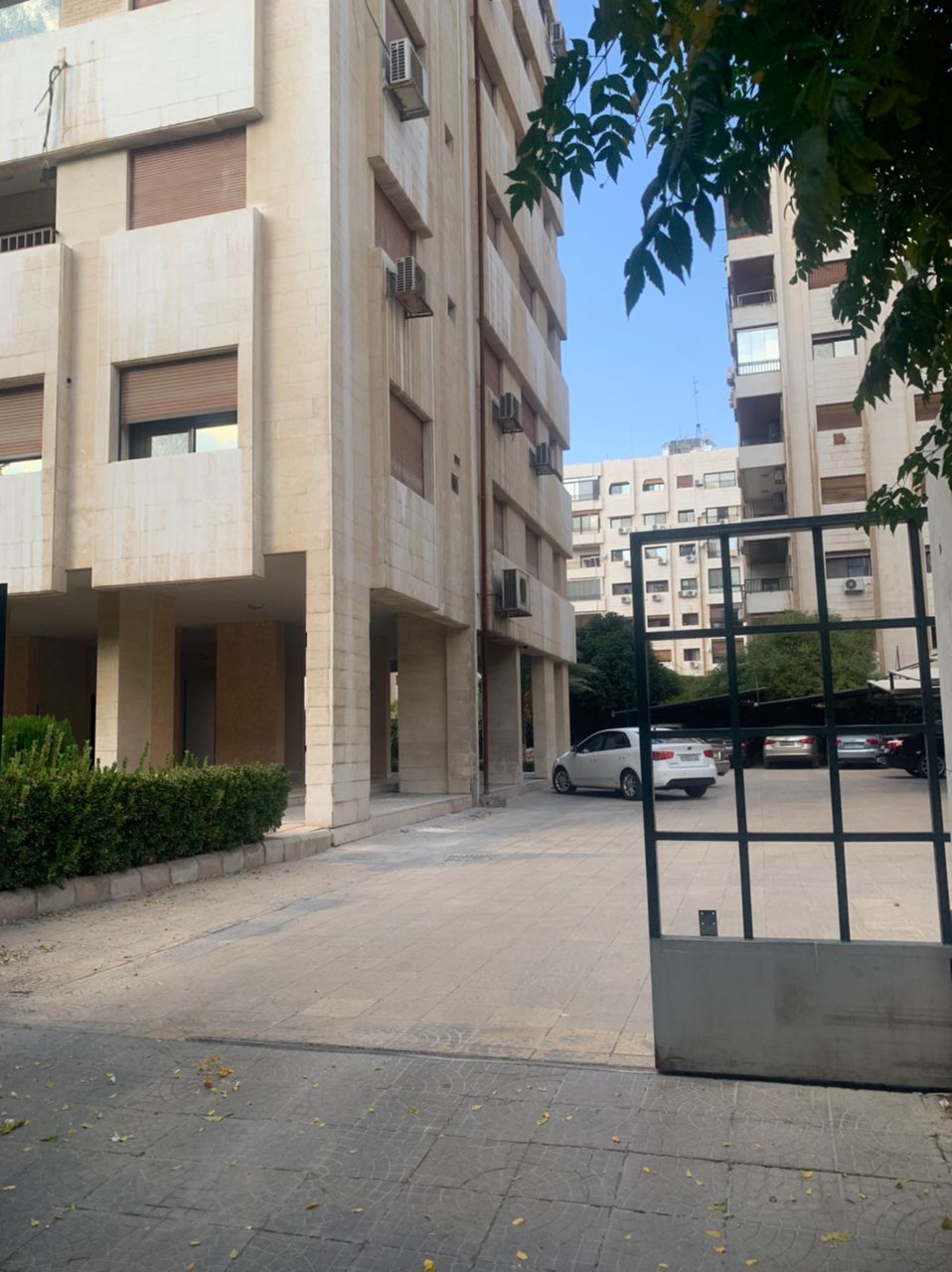 الصورة
