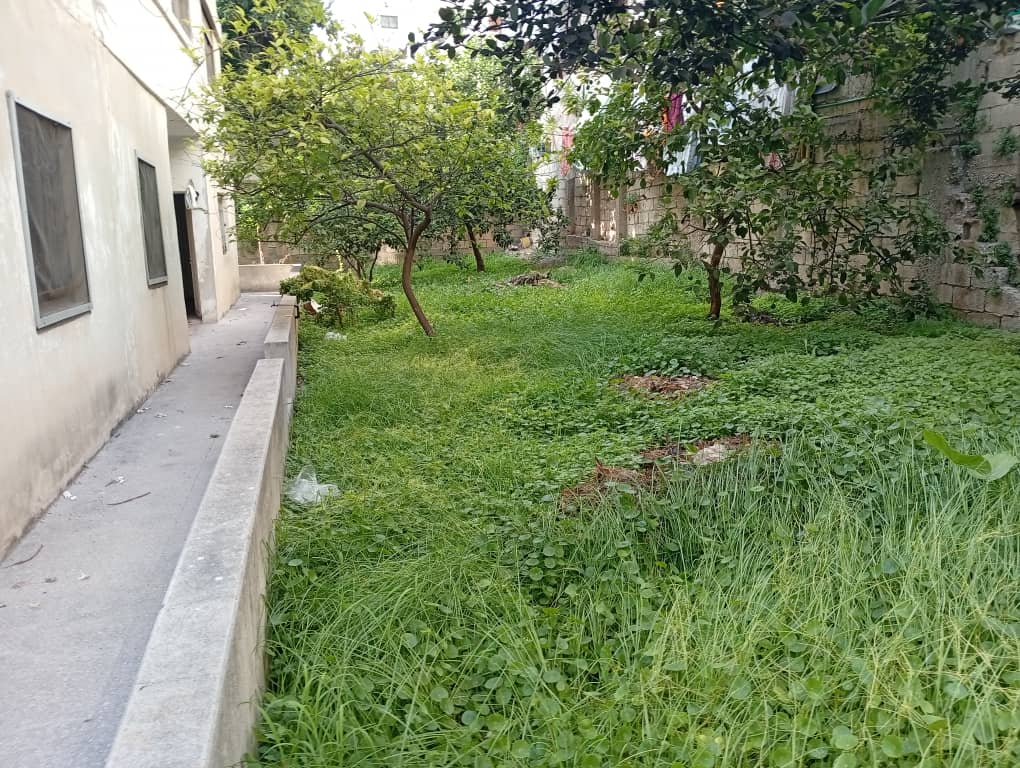الصورة