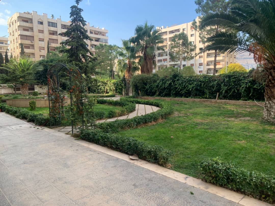 الصورة