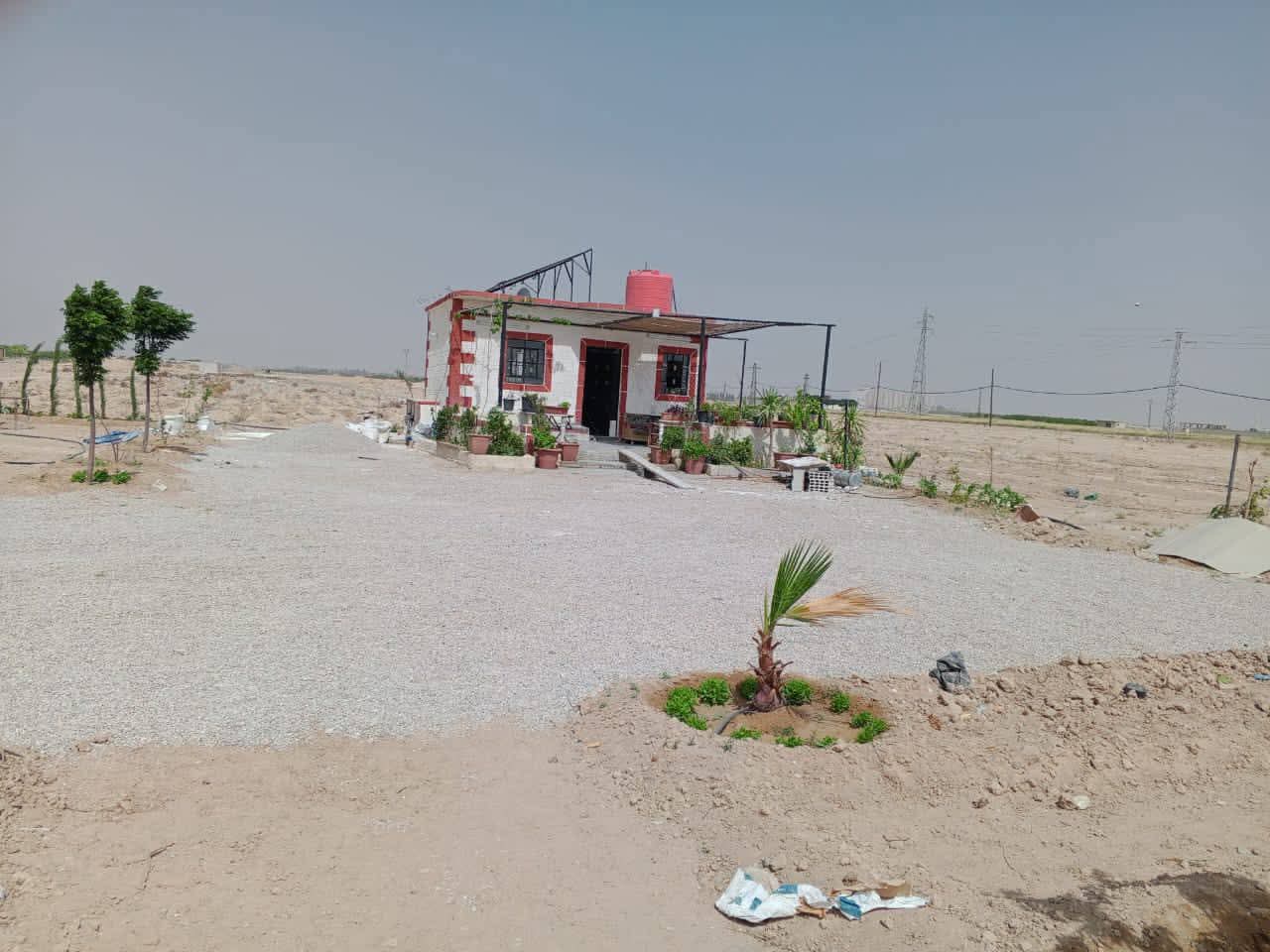 الصورة