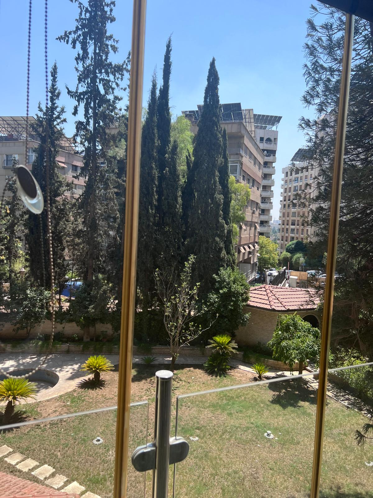 الصورة